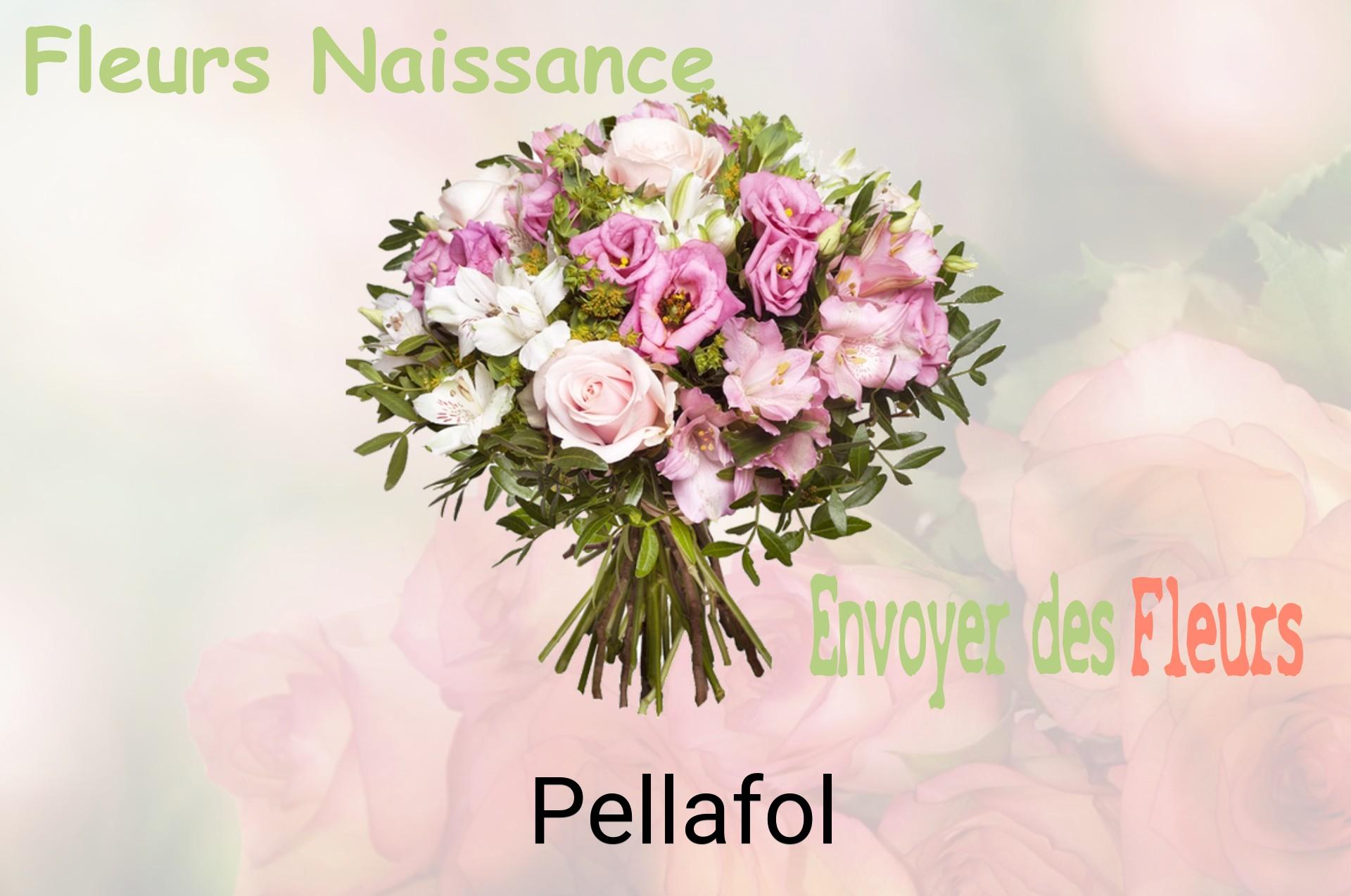 Bouquet de fleurs de naissance livré à Pellafol