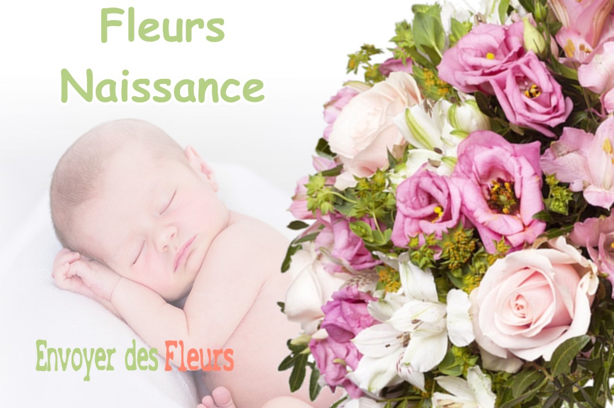 lIVRAISON FLEURS NAISSANCE à PELLAFOL