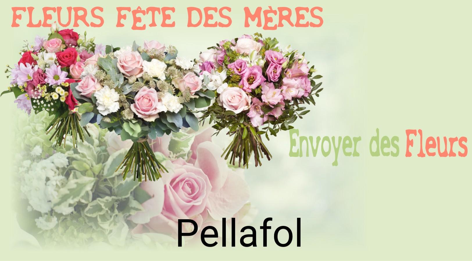Bouquet de Fête des Mères livré à Pellafol